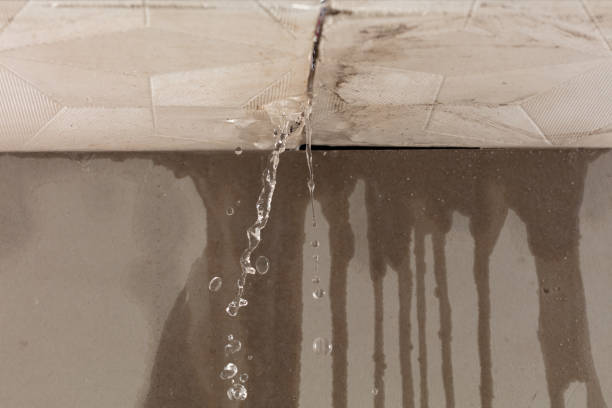 Professional Structural Drying technician working in Versailles, KY